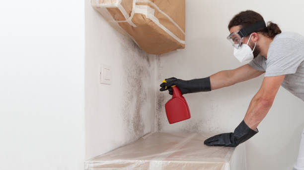 Professional Crawl Space Mold Remediation technician working in Newtonville, MA