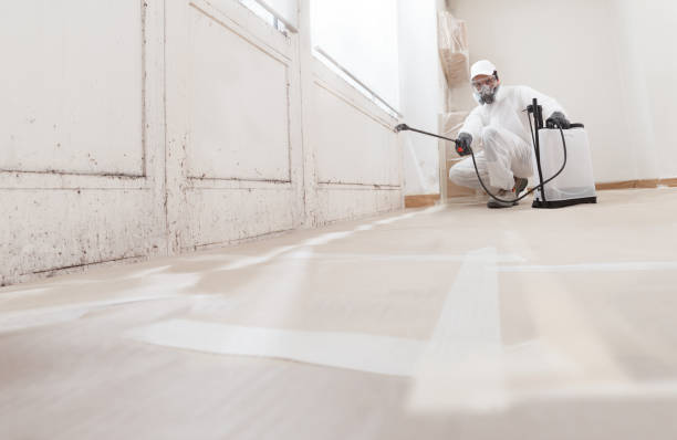 24/7 Emergency Crawl Space Mold Remediation experts in Newtonville, MA