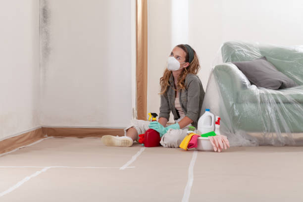 Reliable Crawl Space Mold Remediation contractor in Newtonville, MA by 24 Hour Mold Removal